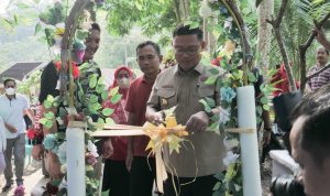 Pj Wali Kota Palopo Launching Inovasi Posyandu Wisata Patikala - foto