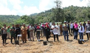 WhatsApp Image 2023-11-04 at 22.21.34