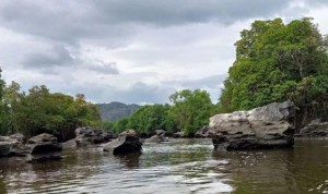 Cover_Berita_Web_(74)_3