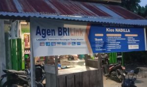 photo_2024-11-04_15-03-31