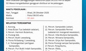 IMG-20251025-WA0004