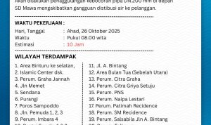 IMG-20251025-WA0005
