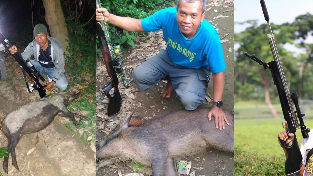 senapan angin terbaru