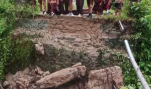 FB_IMG_1771080527128